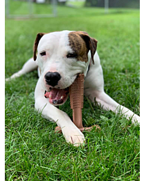 Spot Bam-Bones Kauwspeelgoed Easy Grip Hond Rund