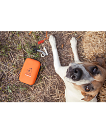 Dogslife EHBO-kit Hond
