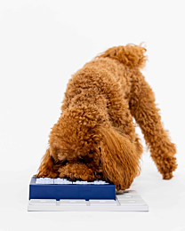 Pawzler Hondenpuzzel Louvre Pawzle Blauw 1 stuk 18 cm