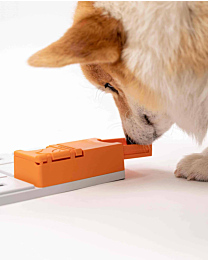 Pawzler Hondenpuzzel Maya Pawzle Oranje 2 stuks 12 cm