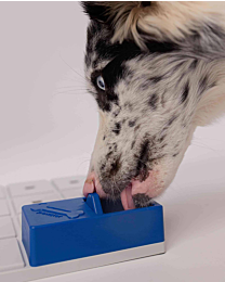 Pawzler Hondenppuzzel Onix Pawzle Blauw 2 stuks 12 cm