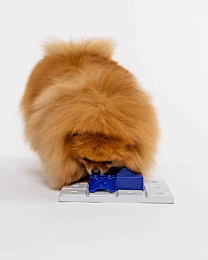 Pawzler Hondenpuzzel Sela Pawzle Blauw 2 stuks 12 cm