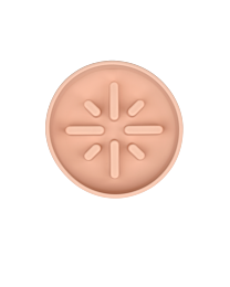 51DN Sili Slow Feeder Dog Bowl Pin