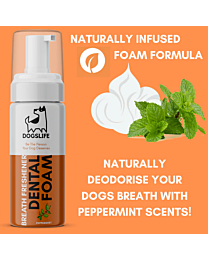 Dogslife Dog Dental Foam 150 ml