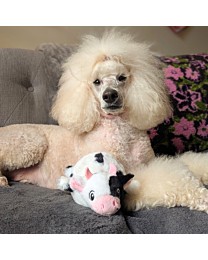 Great&Small Hondenspeelgoed Boerderijvriendjes Bouncy Koe 13 cm