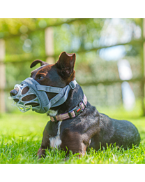 Baskerville INVISA Muilkorf