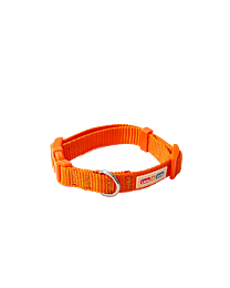 Great&Small Little&Lively Puppy Collar Orange