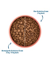 WOW Hondenbrokken Senior Eend