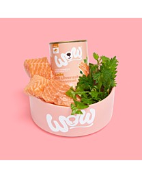 WOW Nat Hondenvoer Adult Zalm