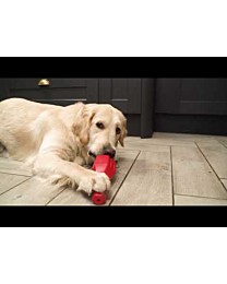 Frogg Hondenspeelgoed Beloningsspeelgoed Fetch Rood 20 cm