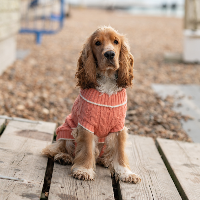 HUNTER Hondentrui BIRKA, Kleur: rood, warme gebreide trui voor honden