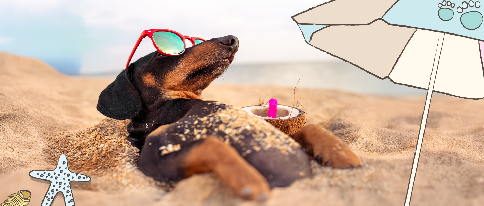C&D - Vakantietips