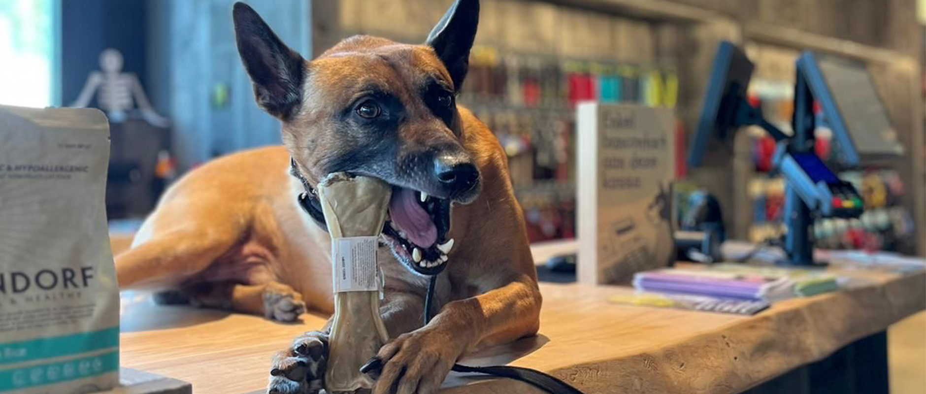 C&D - Tanden poetsen bij honden