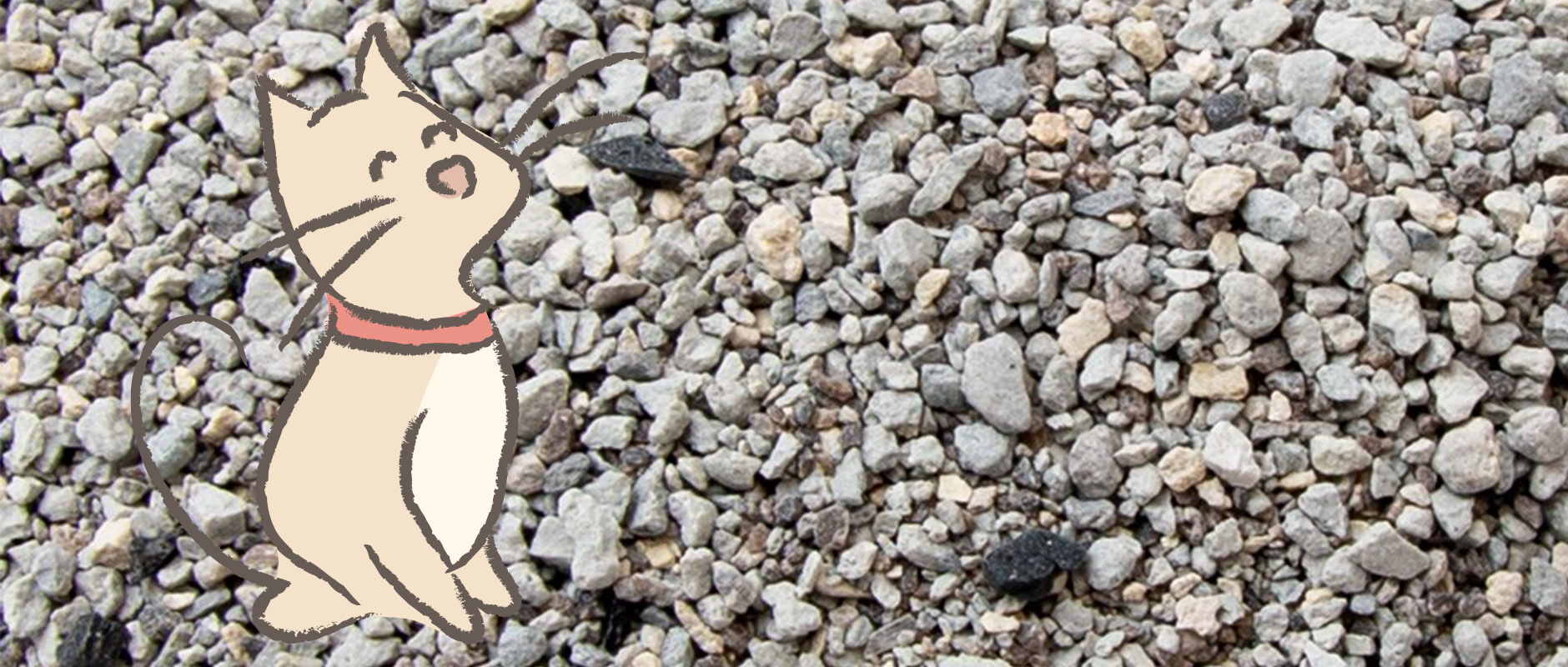 C&D - Why more expensive cat litter is often cheaper than you think